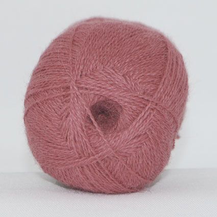 1843 Gammel rosa 1843 Gammel rosa