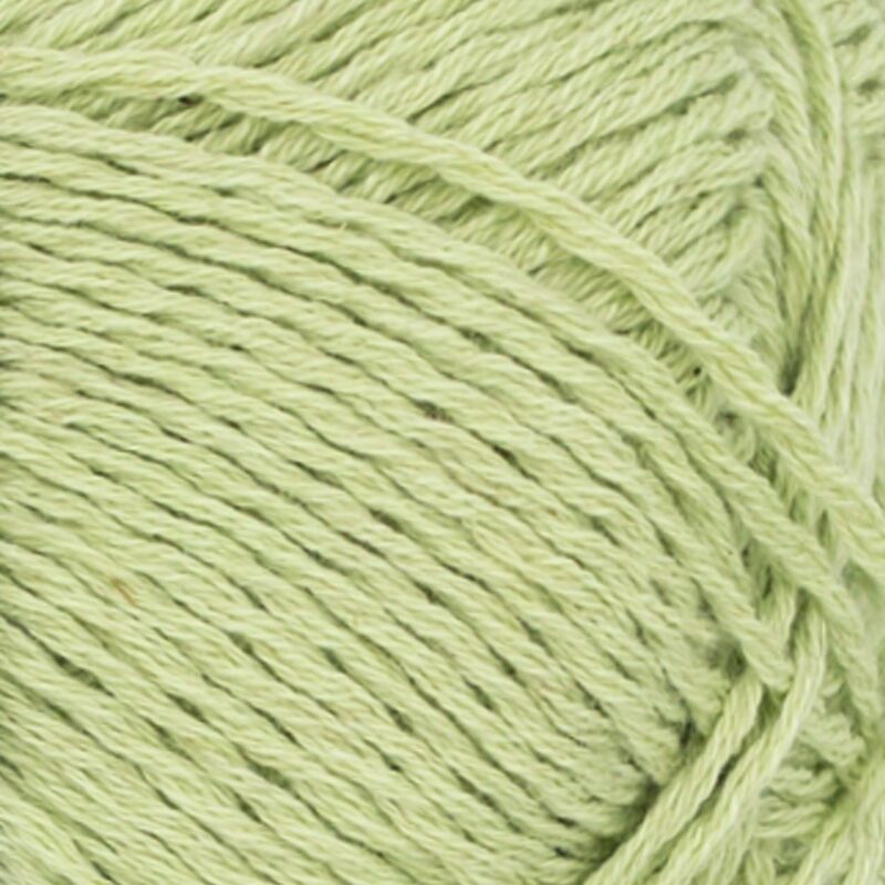 9523 Lime Punch