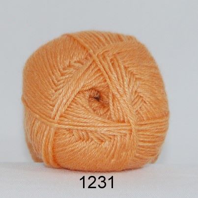 1231 Støvet orange 1231 Støvet orange