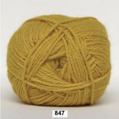 847 Sennep 847 Sennep