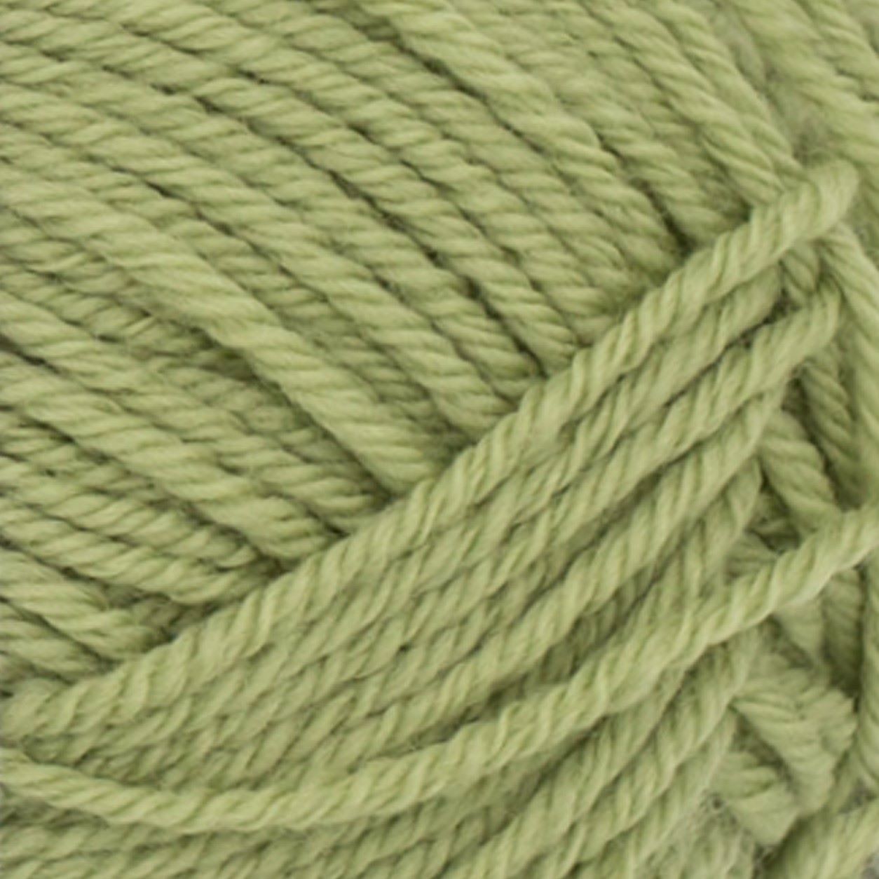 9533 Green Tea PK 9533 Green Tea PK