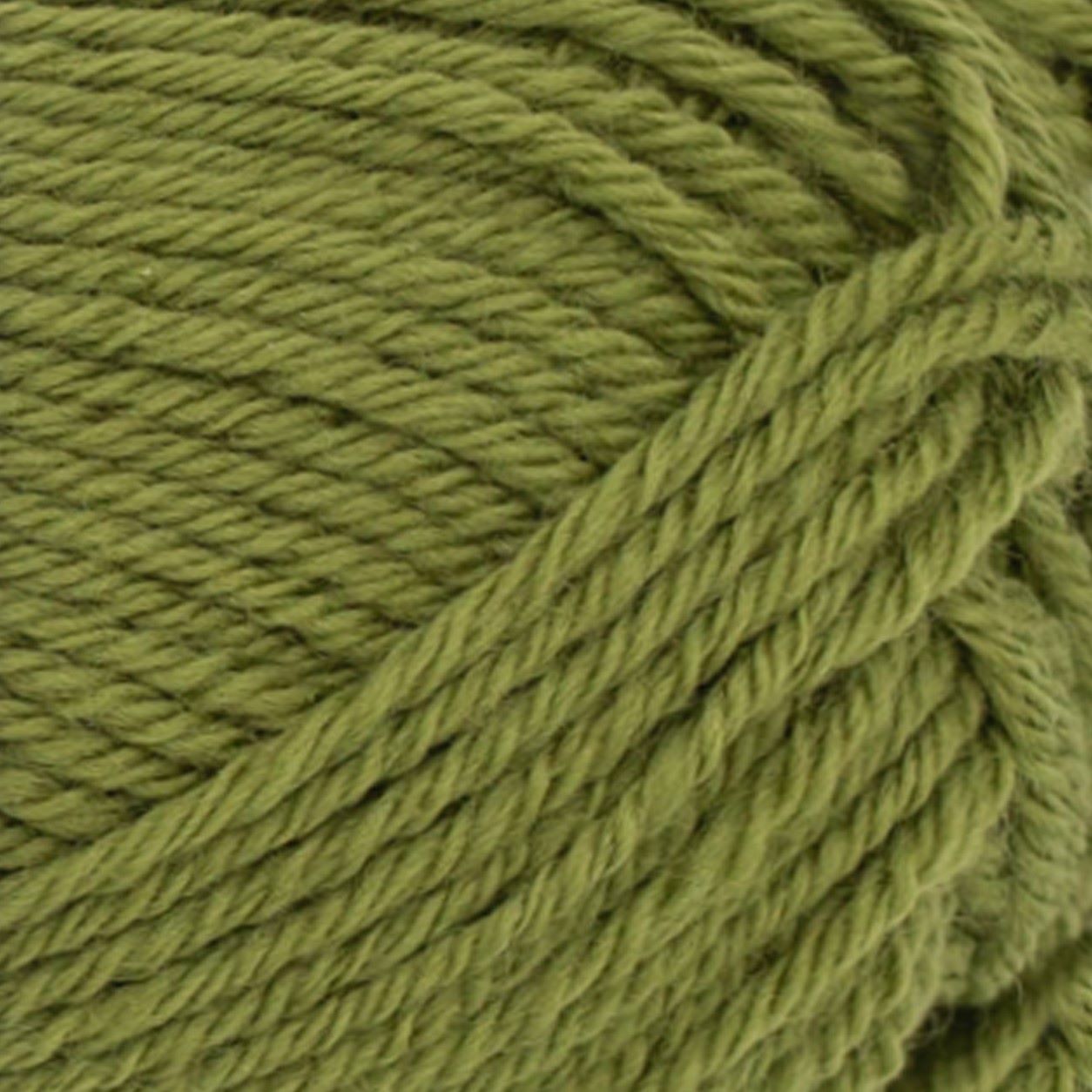 9564 Matcha PK 9564 Matcha PK