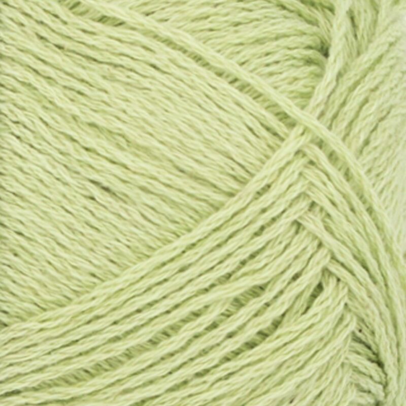 9523 Lime Punch