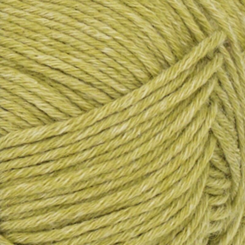 9825 Sunny Lime